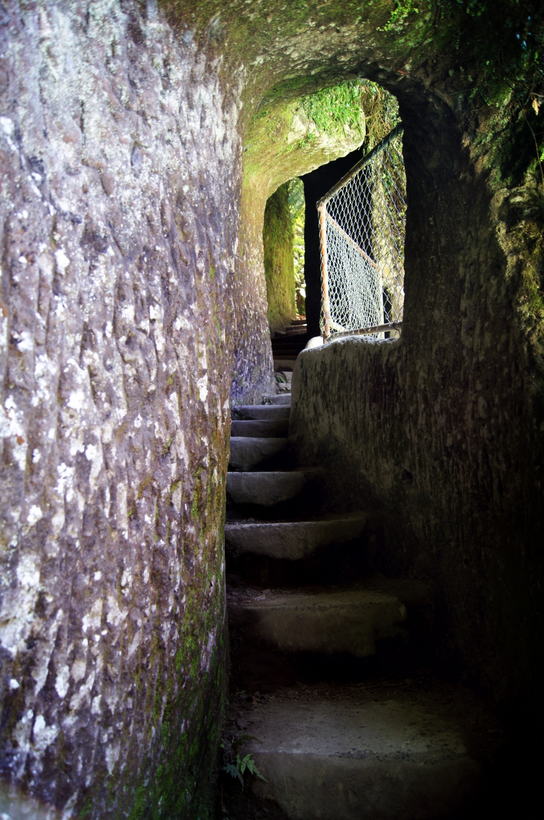 Caves at Okere Falls