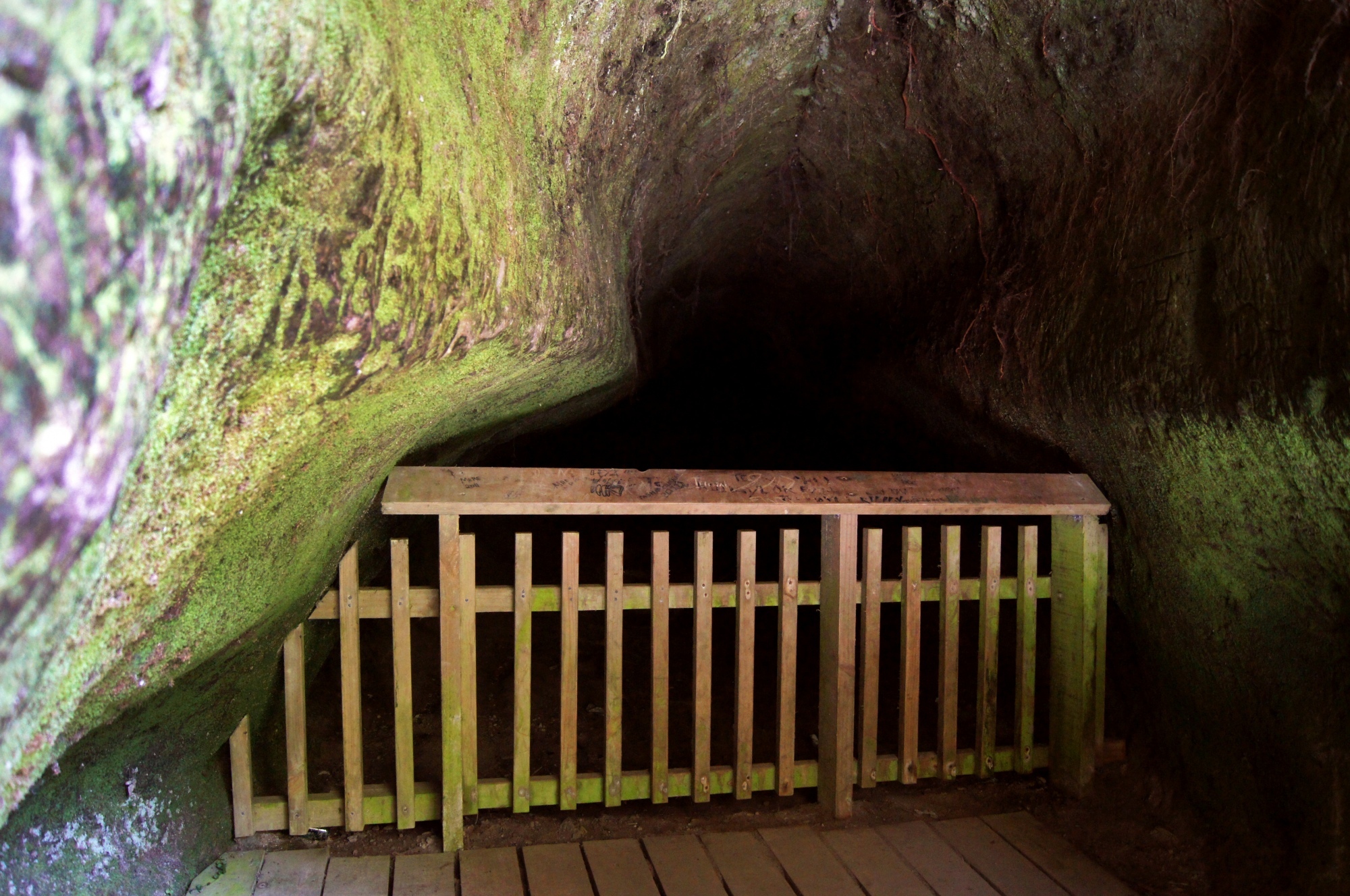 Caves at Okere Falls