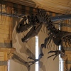 Scary Bones
