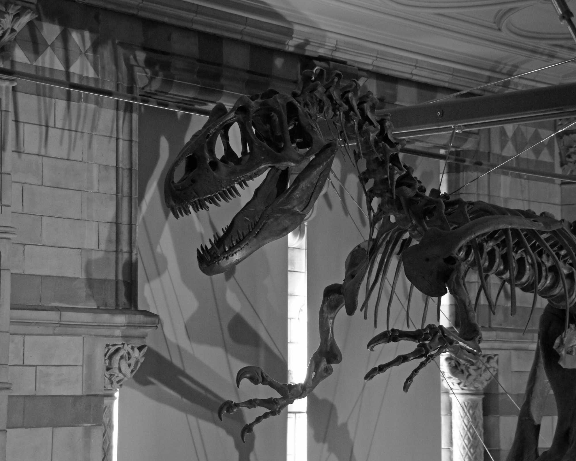 Scary Bones