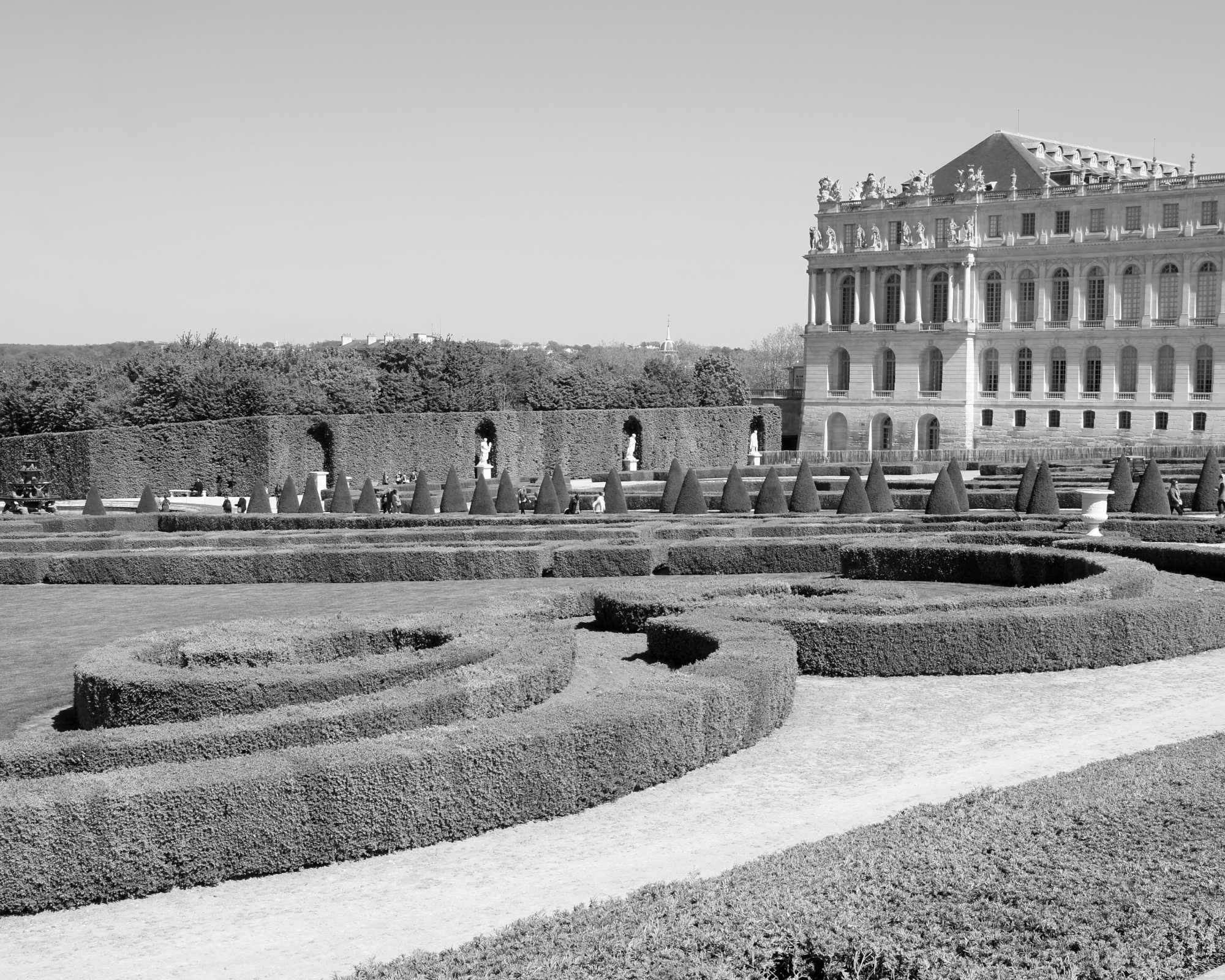 Hedges outside the Palace