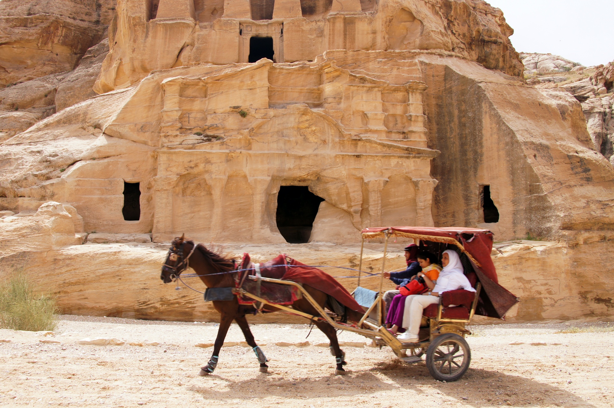 Horse Taxi