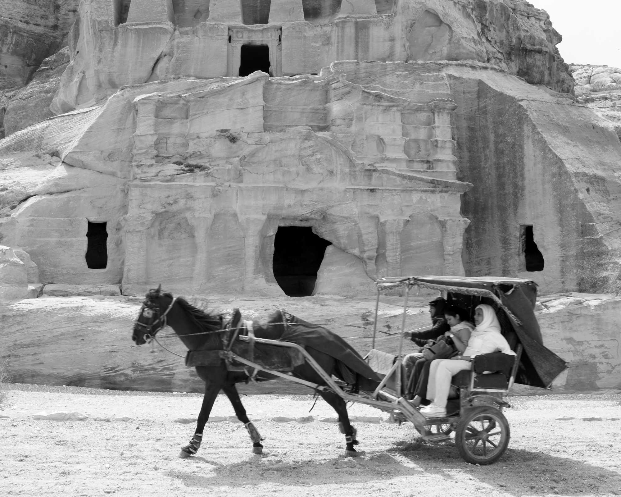 Horse Taxi