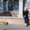Lisa and a Dog