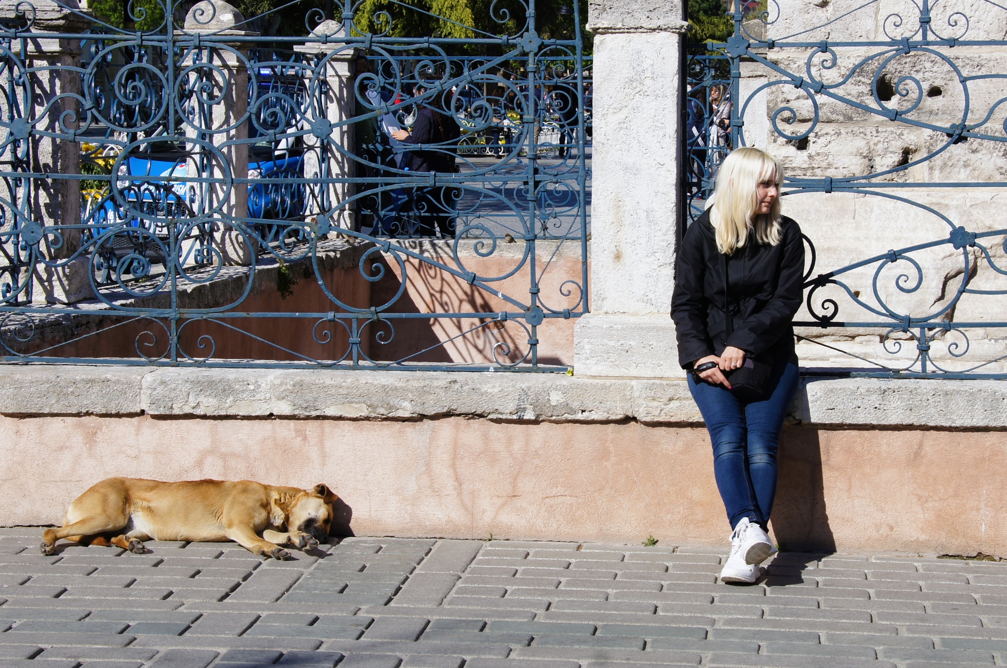 Lisa and a Dog