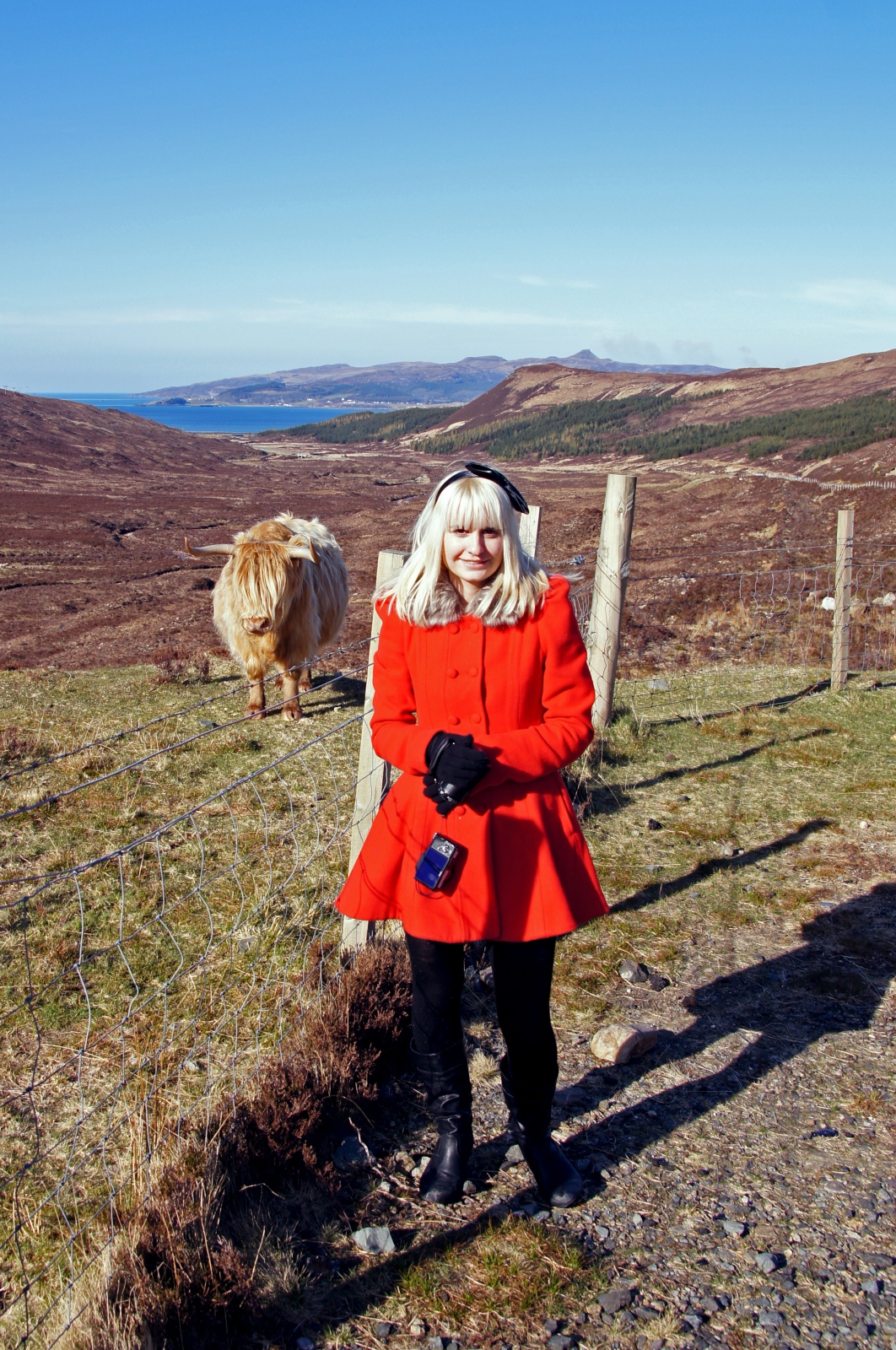 Lisa and the Highland Cattle
