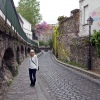 Lisa on a Paris Street