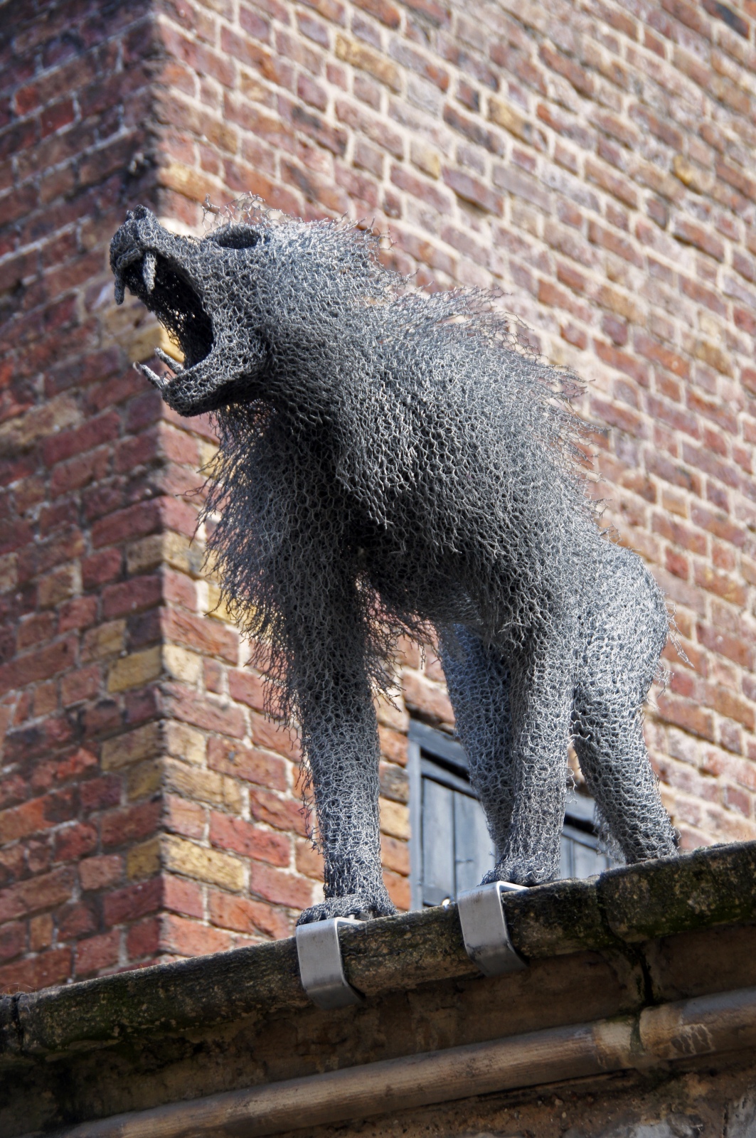 Monkey at the Tower of London