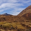Bridge Panorama