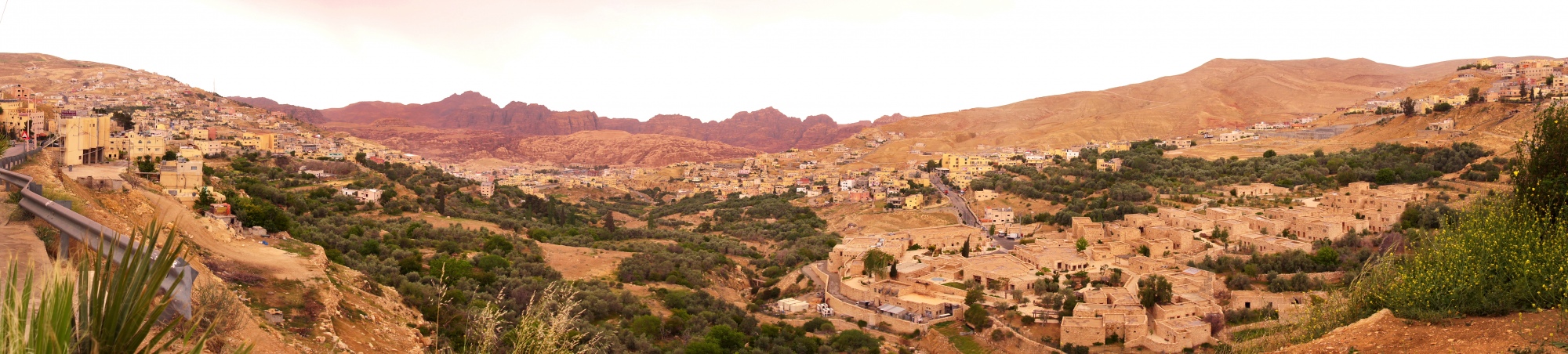Petra Panorama