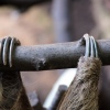 Sloth Toes