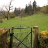 The Orchard