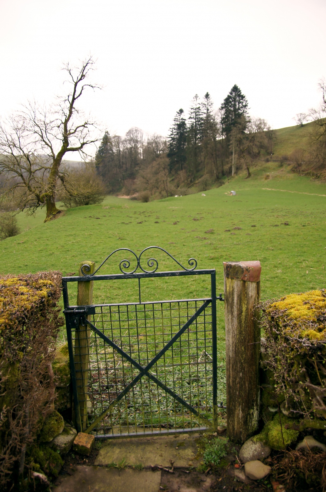 The Orchard