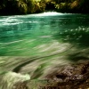 Trout Pond in Rotorua