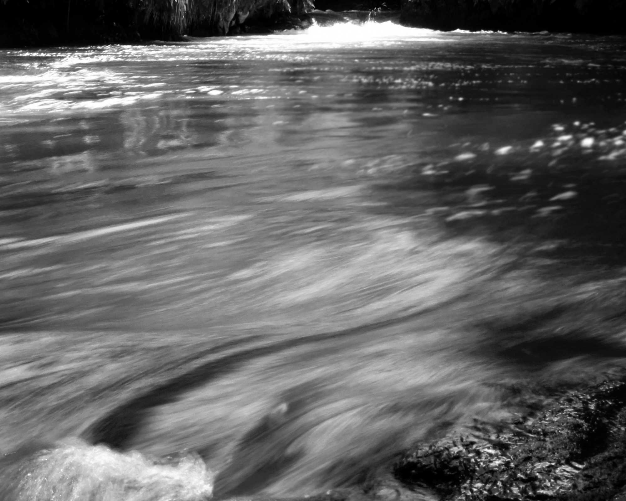 Trout Pond in Rotorua